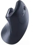 Gembird Ergonomische Wireless Maus 6 Tasten, Schwarz - Schwarz