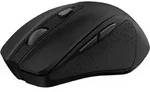 25549 TRUST Nito Funkmaus 5Tasten - Schwarz