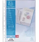 Exacompta Karton + 100 Prospekth&uuml;llen A4, glattem PP 60&mu;, Kristall, 5000E