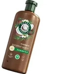 Herbal Essences Hydrate Shampoo mit Kokosduft, 350 ml