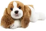 Kuscheltier Hund Cavalier 30 cm liegend braun/wei&szlig; Pl&uuml;schhund