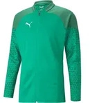 Puma Team Cup Trainingsjacke Herren - Gr&uuml;n - Beige - S