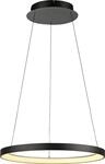 Paul Neuhaus Pendelleuchte HOOP LED LBH 57x57x180 cm schwarz H&auml;ngelampe