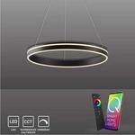 Paul Neuhaus LED Pendellampe CCT Q-Vito Ring Pendelleuchte Ring Works with Alexa,