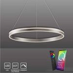 Paul Neuhaus LED Pendellampe CCT Q-Vito Pendelleuchte Ring, dimmbar, Fernbedienung,