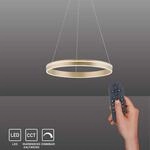 Paul Neuhaus LED Pendellampe CCT Q-Vito Ring Pendelleuchte Ring Works with Alexa,