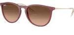 Ray-Ban Erika Sonnenbrille RB 4171 6815A5