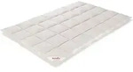 Paradies Daunendecke 155x220 cm Winterdecke "Gabi 90" RDS G&auml;nsedaunen - Wei&szlig;