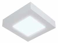Näve 1101923 LED Deckenleuchte ; Farbe: Weiß / Grau