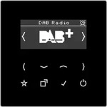 Smart DAB+ Digitalradio Bluetooth UKW,DAB+ DAB LS SW - Schwarz