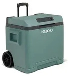 IGLOO Lodowka termoelektryczna IE42 zielona - Gr&uuml;n/Blau