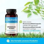 Bioherba Brennnessel Extrakt 250 mg 100 Kapseln