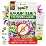 Power Raubmilben gegen Spinnmilben &ndash; 3 T&uuml;ten - Biologisches Mittel zur effektiven