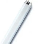 OSR L-Lampe L 36W-840 (-21) T8 26mm G13 Lumilux EEK G