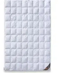 daunen-federn.de Sommer Bettdecke 135x200 Premium: 100% neue Daunen Klasse 1,