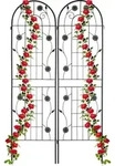 Relaxdays Rankgitter, 2er Set, HxB 180 x 50 cm, Metall, Rankhilfe f&uuml;r