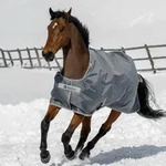 Bucas Smartex Turnout Extra Classic 300g Weidedecke - Grau