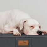 tierlando&reg; OSCAR VISCO Orthop&auml;dische Hundematte Matratze Kunstleder Hundebett...