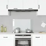 vidaXL K&uuml;chenr&uuml;ckwand Transparent 80&times;50 cm Hartglas - Transparent