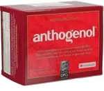 OPC ORIGINAL Masqueliers Anthogenol Kapseln 90St PZN 07321902