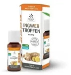 Ingwer Ginjer forte Tropfen 20 ml