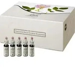 Bachbl&uuml;ten 10 ml Set Tropfen 400 ml