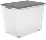 Rotho Aufbewahrungsbox mit Rollen 70L COMPACT - Kunststoffbox je 57,0 x 39,5 x 43,5