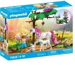 PLAYMOBIL Fairies 71839, Aktion/Abenteuer, 4 Jahr(e), Mehrfarbig, Kunststoff -...