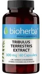 Bioherba Tribulus Extrakt 300 mg 100 Kapseln