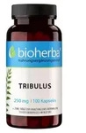 Bioherba Tribulus 250 mg 100 Kapseln