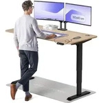 Desktronic HomePro Elektrisch h&ouml;henverstellbarer Schreibtisch 160x80cm
