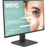 BenQ GW2491
