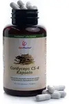 Zein Pharma Cordyceps, Cordyceps CS-4, 500 mg, 120 Kapseln 13743