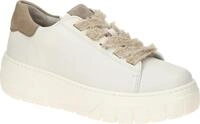 Gabor Sneaker Sneaker Leder