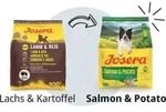Josera | Hundefutter | Salmon & Potato 900g