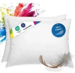 2 St&uuml;ck / 2er Set Federkissen 100% Federn 40x60 - 600g OEKO-TEX Kissen / F&uuml;llkissen