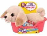 Moose Toys Little Live Pets My Really Real Puppy Mini's - Golden Retriever Buddy,