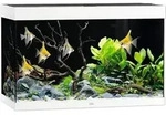Aquarium JUWEL Rio 290 SBX mit LED-Beleuchtung, Heizer, Filter ohne Unterschrank