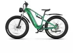 26" Elektrofahrrad E-Bike Mountainbike E-Bike Akku 20AH Herren Fat e Bike