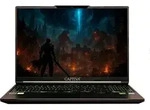 CAPTIVA Notebook Highend Gaming I95-048GE 40,6cm (16") i7-14650HX 16GB 500GB...