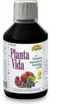 Espara Planta Vida Elixier Nahrungsergaenzung 250 ml