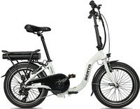 Blaupunkt BERTA, Lithium-Ion (Li-Ion), 7,8 Ah, 60 km, 36 V, 5 h, 22 kg -