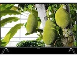 TCL 32V4C, QLED-Fernseher, (WXGA, Triple Tuner, Android TV) - Schwarz