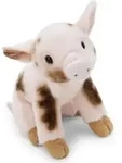 Nici Schwein Teddyb&auml;r 20 Cm Beige Kinder Beige One Size - Beige
