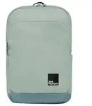 Jack Wolfskin Terraview 20 - Rucksack 43 cm (green zinnia) - Gr&uuml;n
