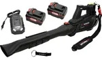 PARKSIDE PERFORMANCE&reg; 40 V Akku-Turbinen-Laubbl&auml;ser / PPTLBA 40 / inkl. 2 Akkus