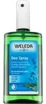WELEDA Deodorant Spray mit Salbei