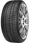 Gripmax Winterreifen motorcycle-tyres Suregrip eWinter ( 205/65 R17 100V XL )