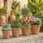 Teramico "Festonato" Terracotta Topf Frostfest 45 cm - Braun