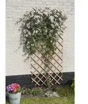 Nature Garten-Rankgitter 50x150 cm Holz Natur - Braun